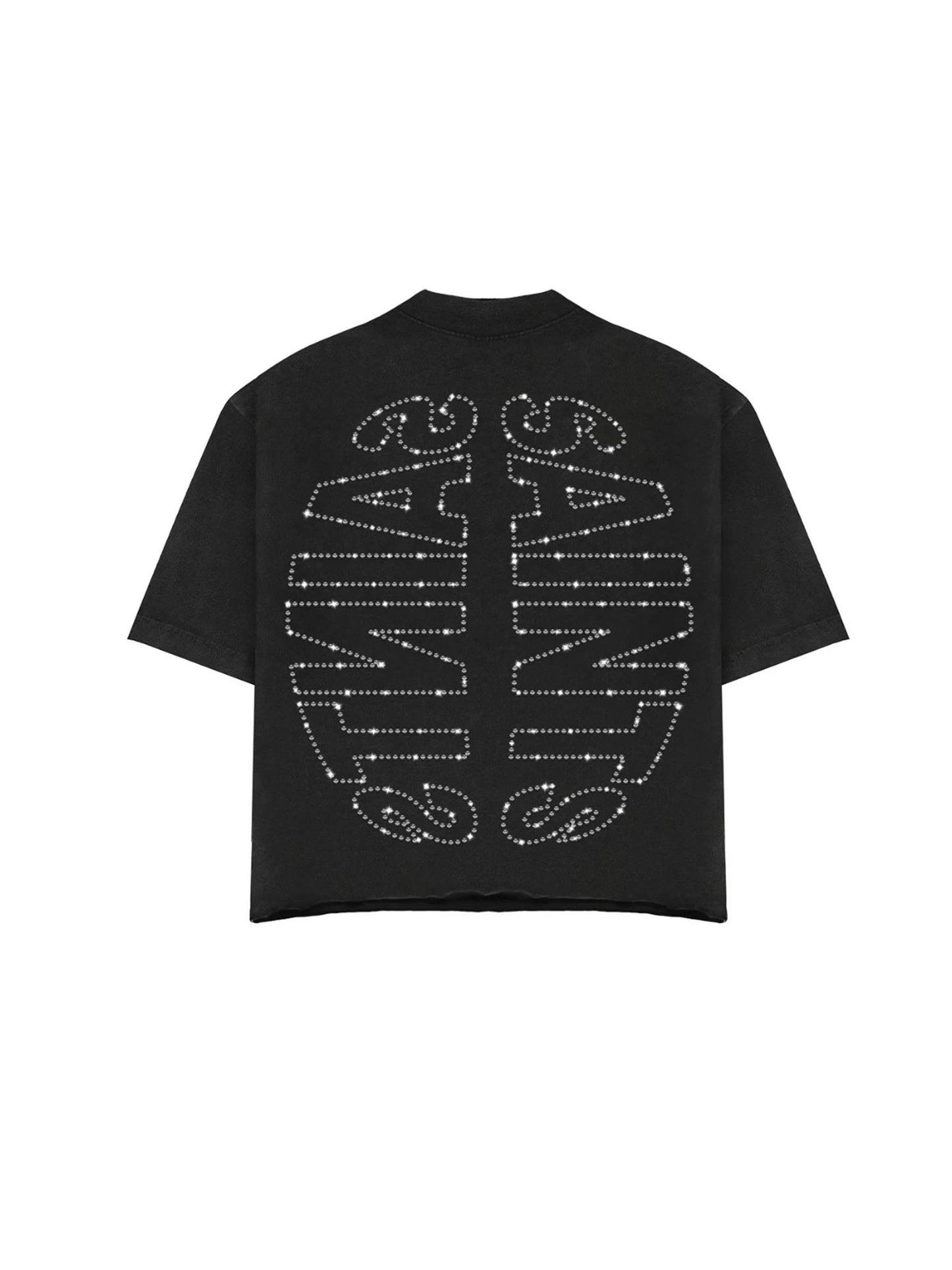 Graphic Printed Tee Spring Collection