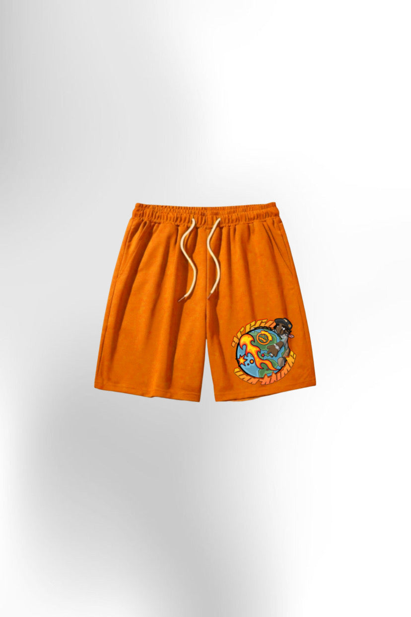 4regn Printed shorts