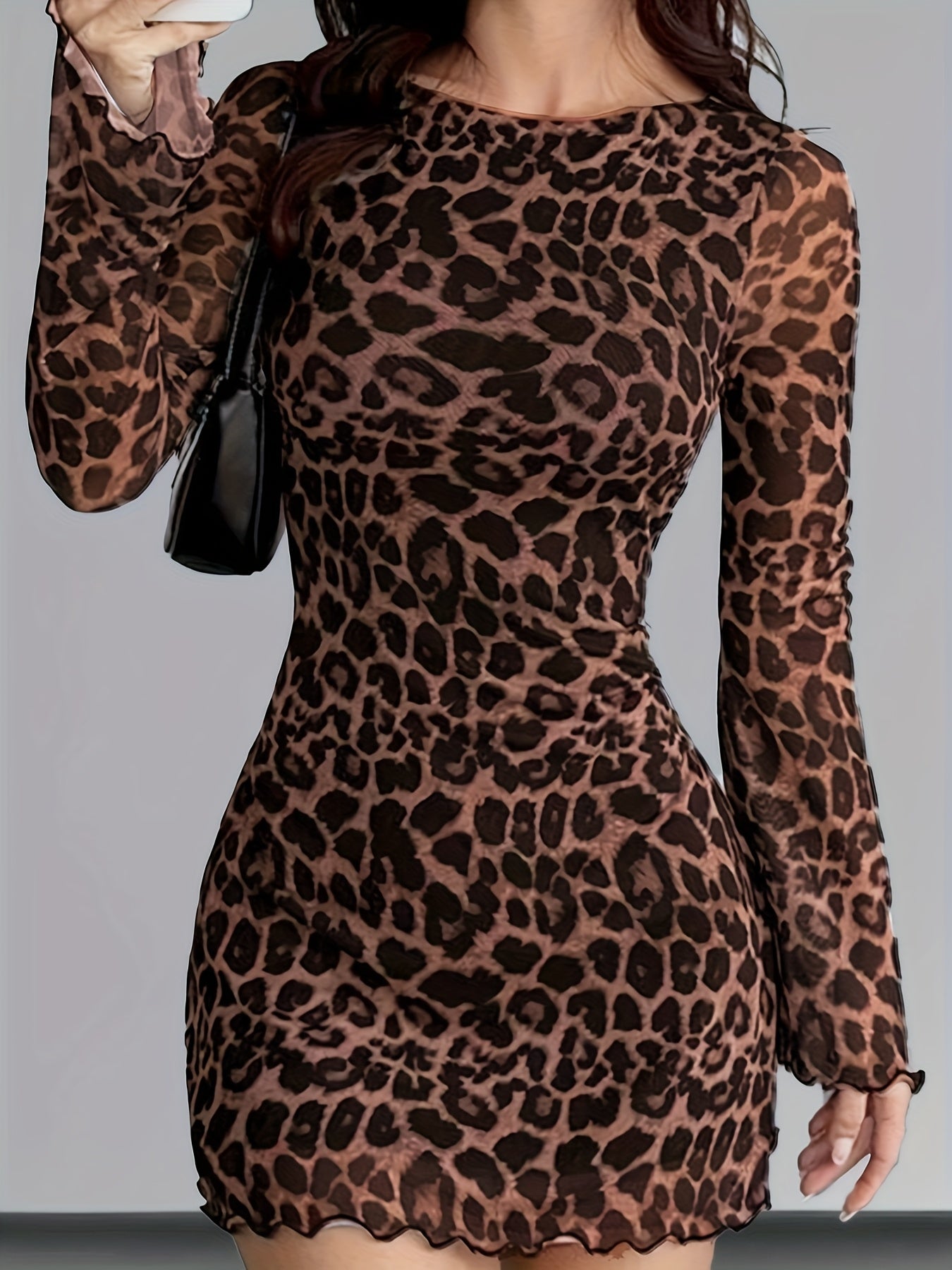 Leopard Print Mesh Long Sleeve Dress