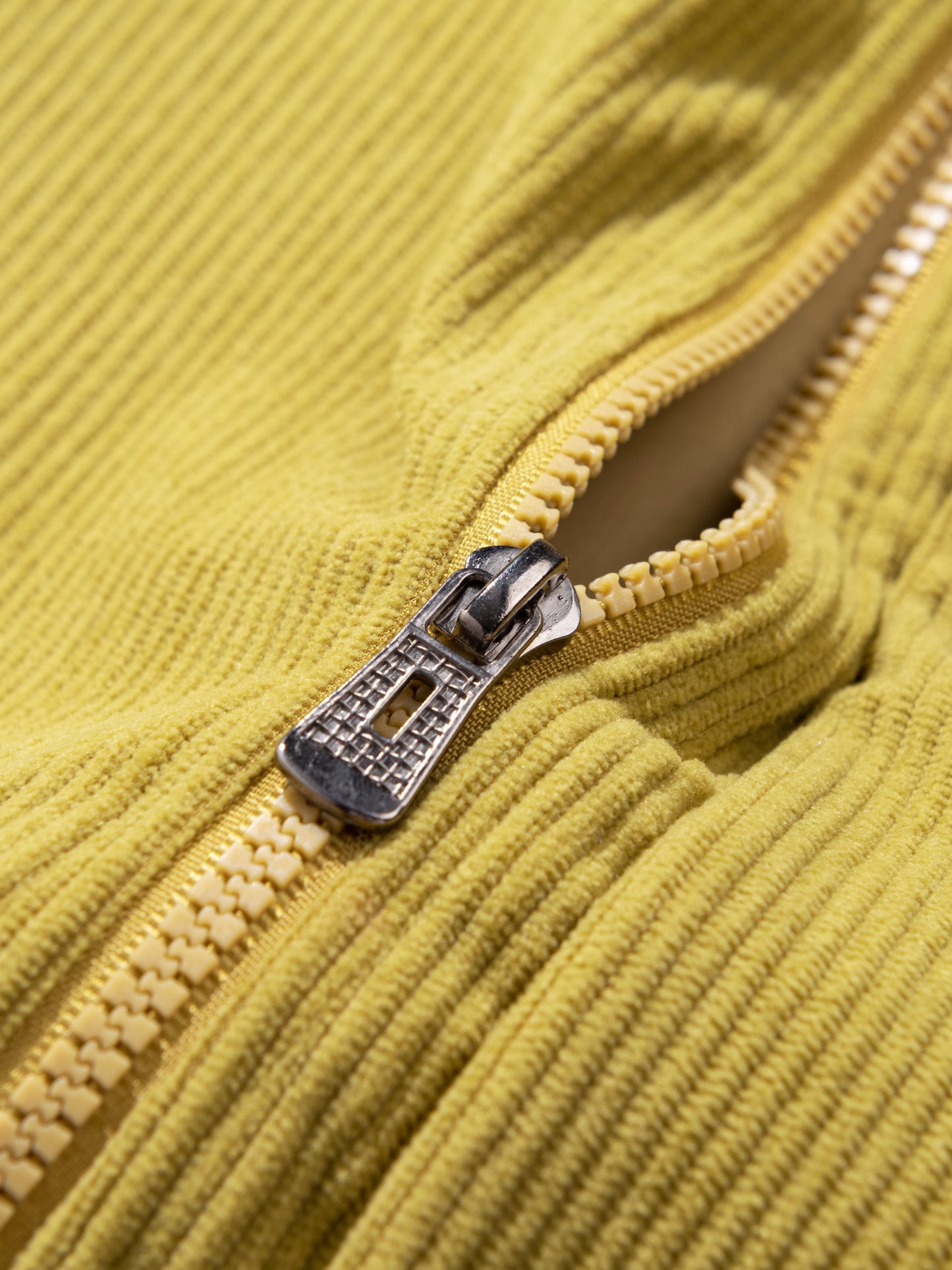 Collar Jacket