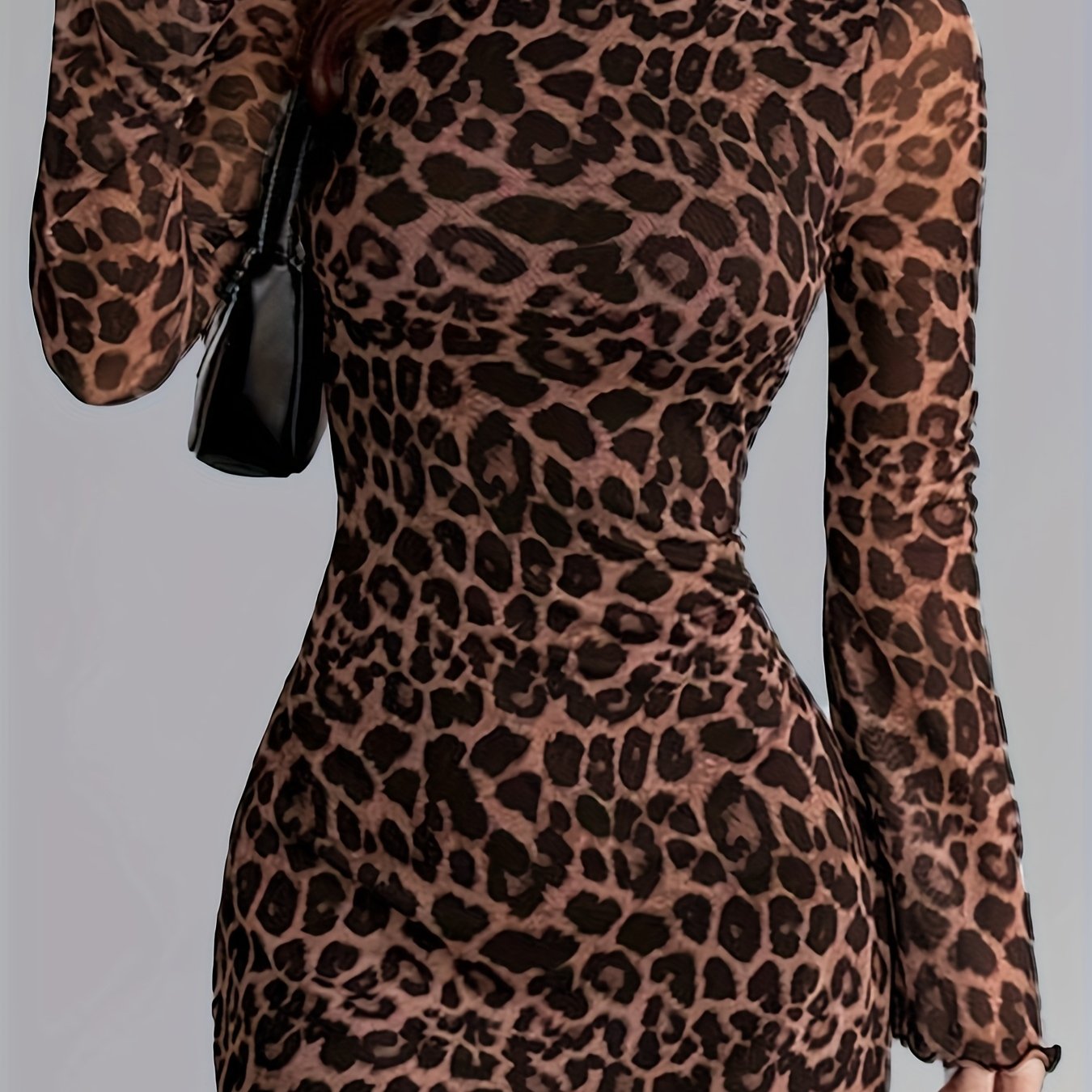 Leopard Print Mesh Long Sleeve Dress