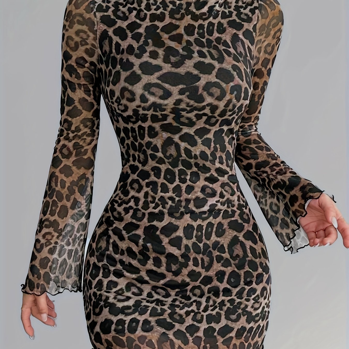 Leopard Print Mesh Long Sleeve Dress