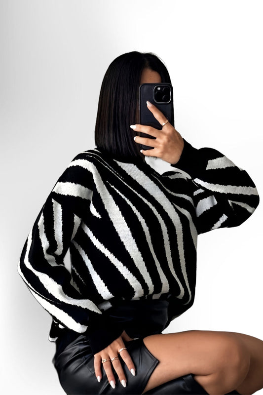 Women’s Zebra Stripe Knit Sweater
